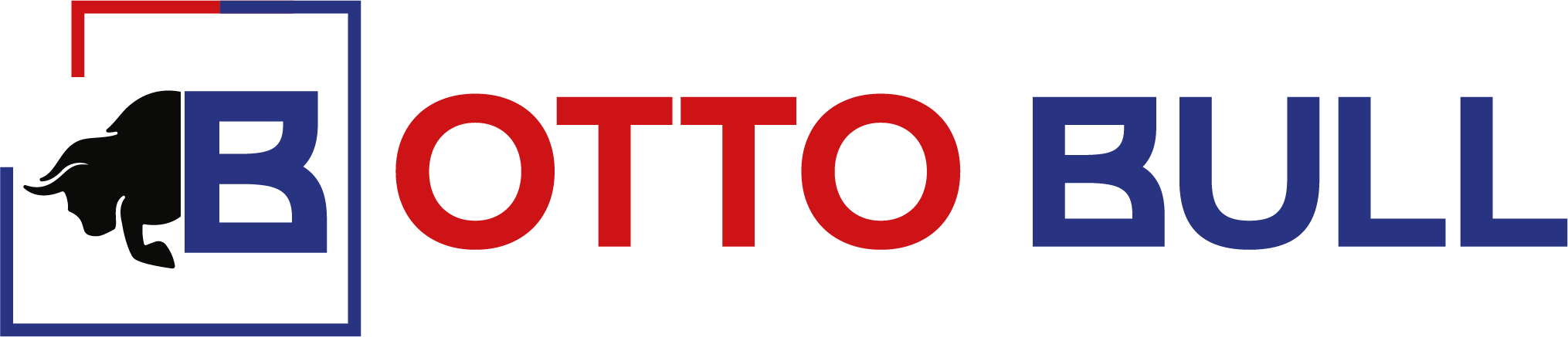 Otto Bull